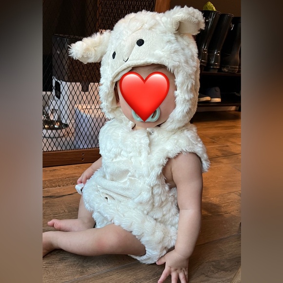 Pottery Barn Kids Cream Lamb Costume - Picture 8 of 8